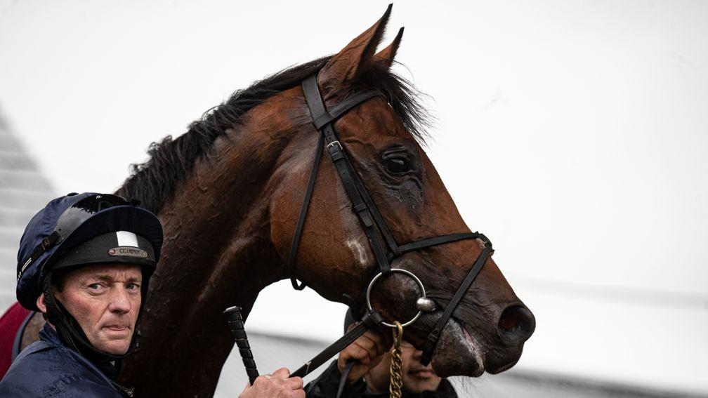 Anchorage: comfortable four-length winner at Thurles on Thursday
