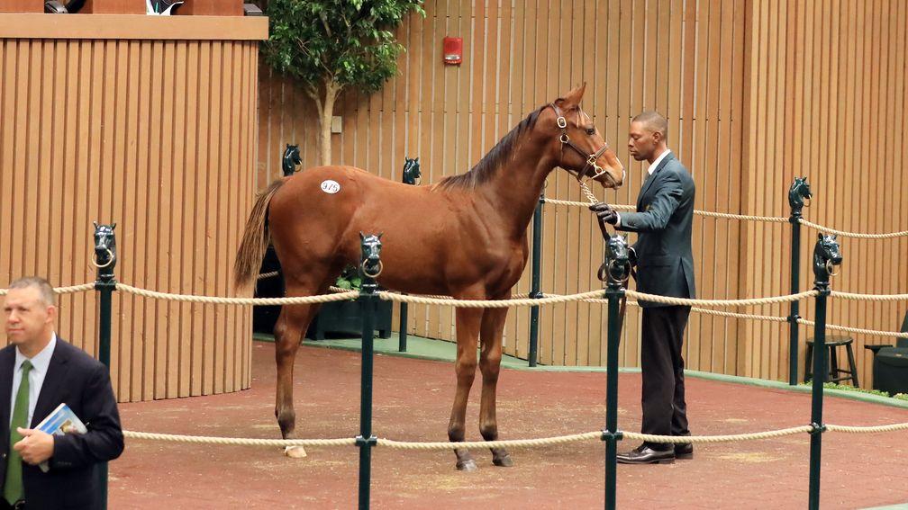 The weanling filly by the red-hot Justify made $525,000 to Paul Sharp at Keeneland's November Sale