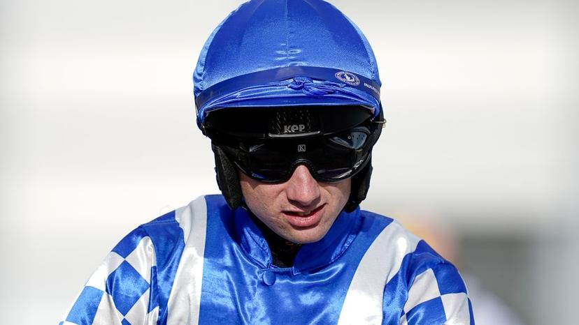 Conditional jockey Ned Fox gears up for exciting Saturday ride with ...