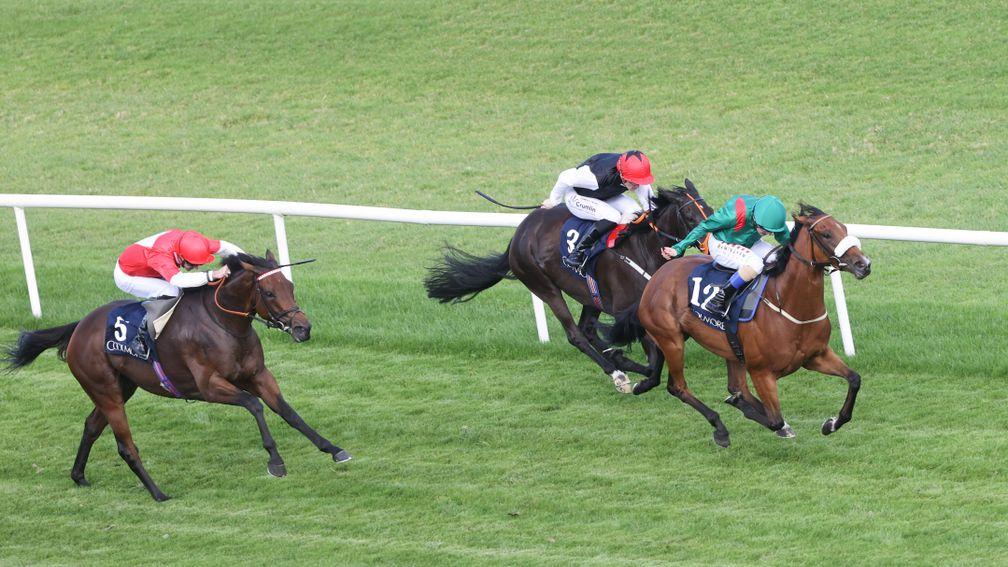Rogue Millennium (left) chases home Tahiyra in the Group 1 Matron Stakes at Leopardstown