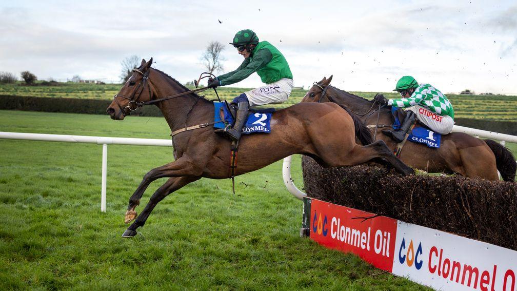 Blue Lord: one of the owners big chances at the Dublin Racing Festival