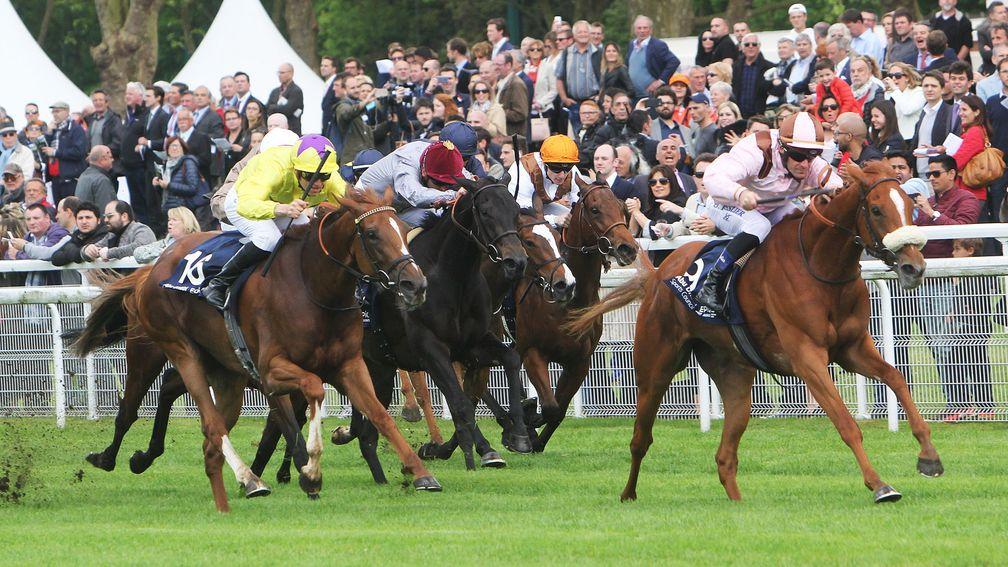 Precieuse (right): three-year-old filly provided Tamayuz with his first Classic winner