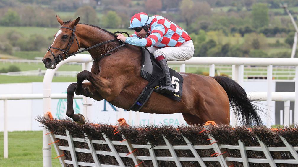 Kilbeg King: the only British-trained winner at Punchestown this season