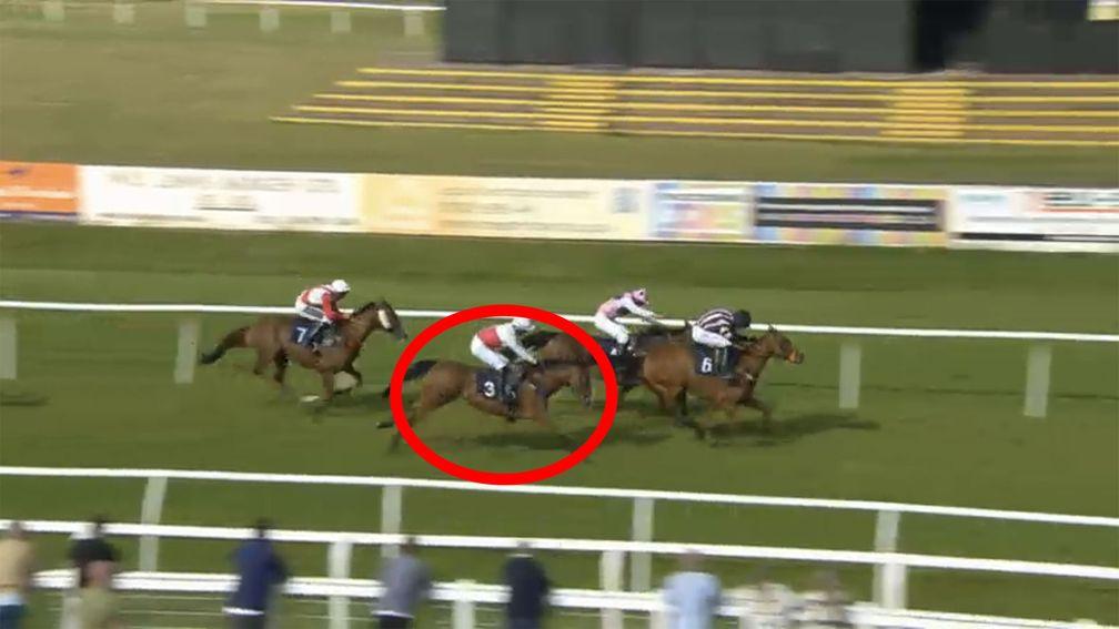 Hillsin (circled): finished third in the 2m4f conditional jockeys' handicap hurdle at Worcester last Wednesday