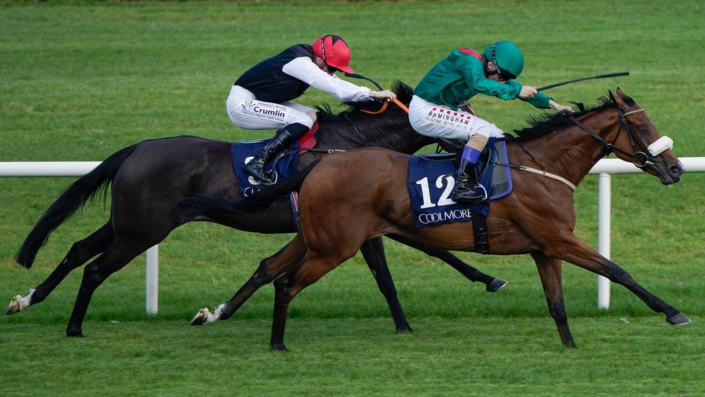 DUBLIN, IRELAND - SEPTEMBER 09: Chris Hayes riding Tahiyra (green) win The Coolmore America 'Justify' Matron Stakes at Leopardstown Racecourse on September 09, 2023 in Dublin, Ireland. (Photo by Alan Crowhurst/Getty Images)