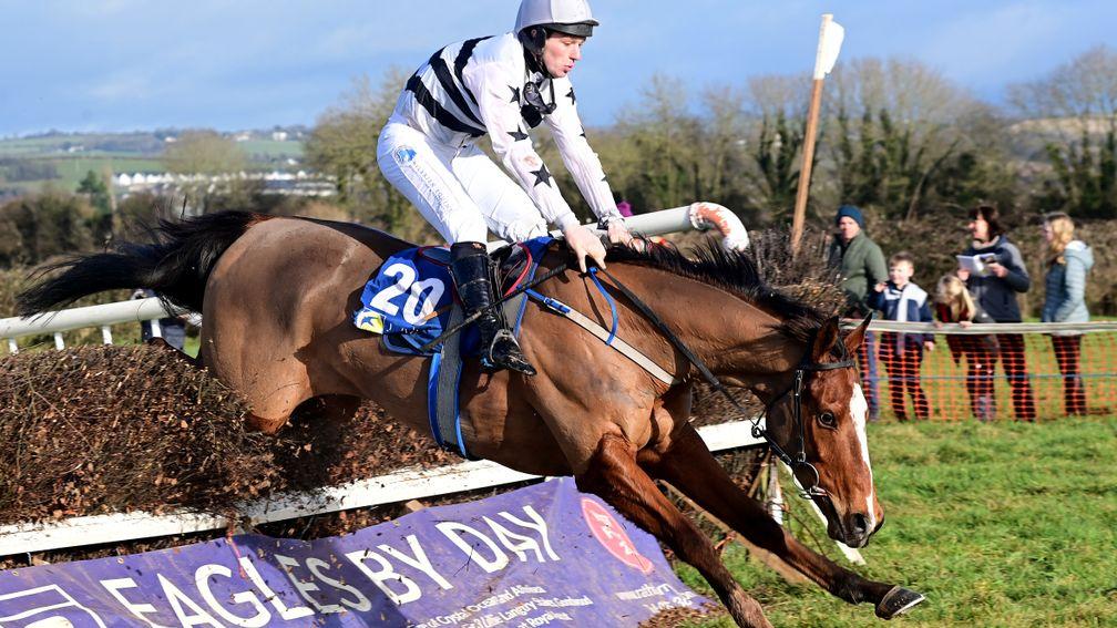 Ismael and Chris O'Donovan survive this final fence blunder en route to an impressive win for handler Declan Queally at Ballyvodock on Sunday
