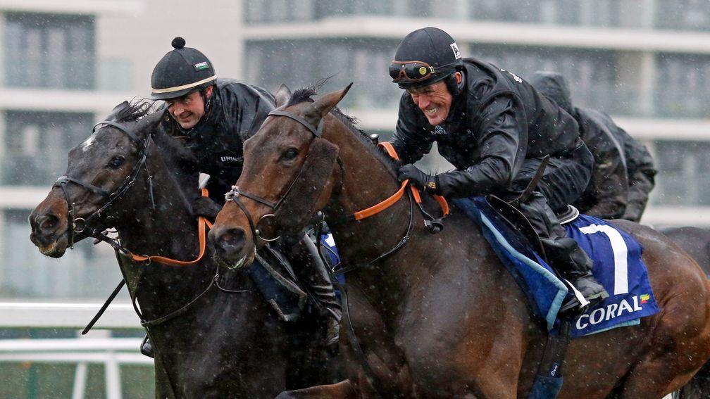 Tuesday's public gallops at Newbury - featuring Shishkin (left) and Champ - took place in heavy rain, but the ground had reverted to being good within 24 hours