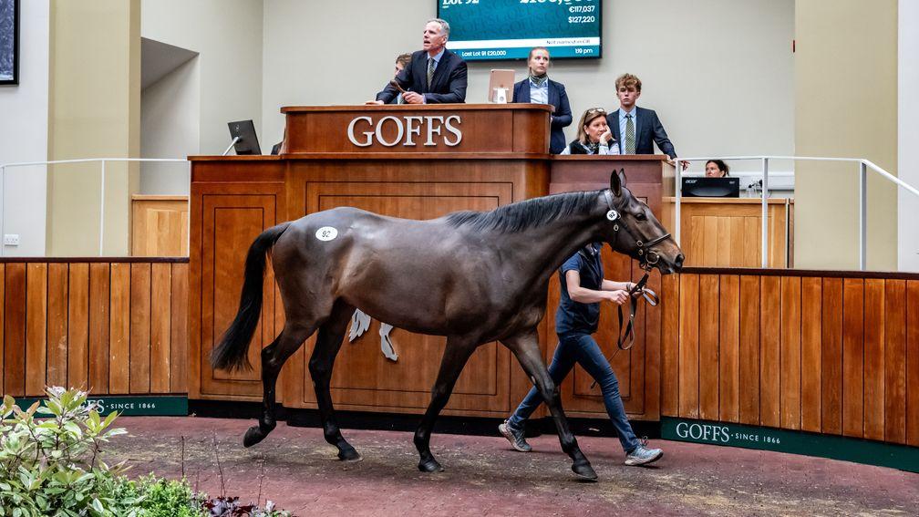 Style De Folie makes £100,000 to Tom Malone and Jamie Snowden at the Goffs Spring Store Sale