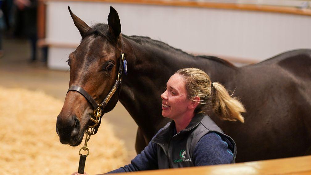 Q-Cross Stables' Invincible Spirit filly out of the Galileo mare Mardie Gras sells to Joseph O'Brien and Olivia Mackey for 115,000gns at Tattersalls Book 3 