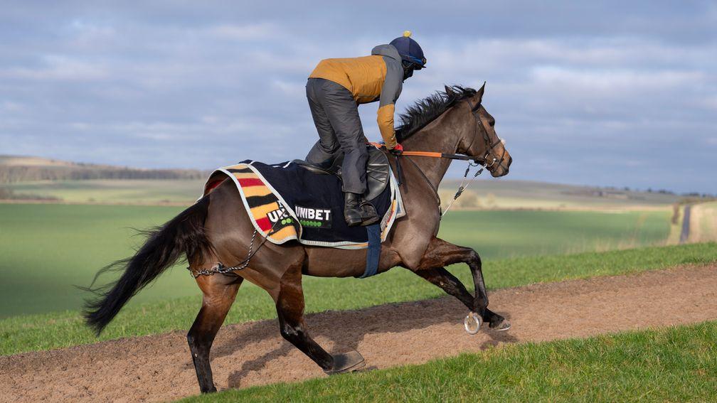Constitution Hill (Matty Gill) canters up the hill at Seven Barrows in Lambourn on Thursday