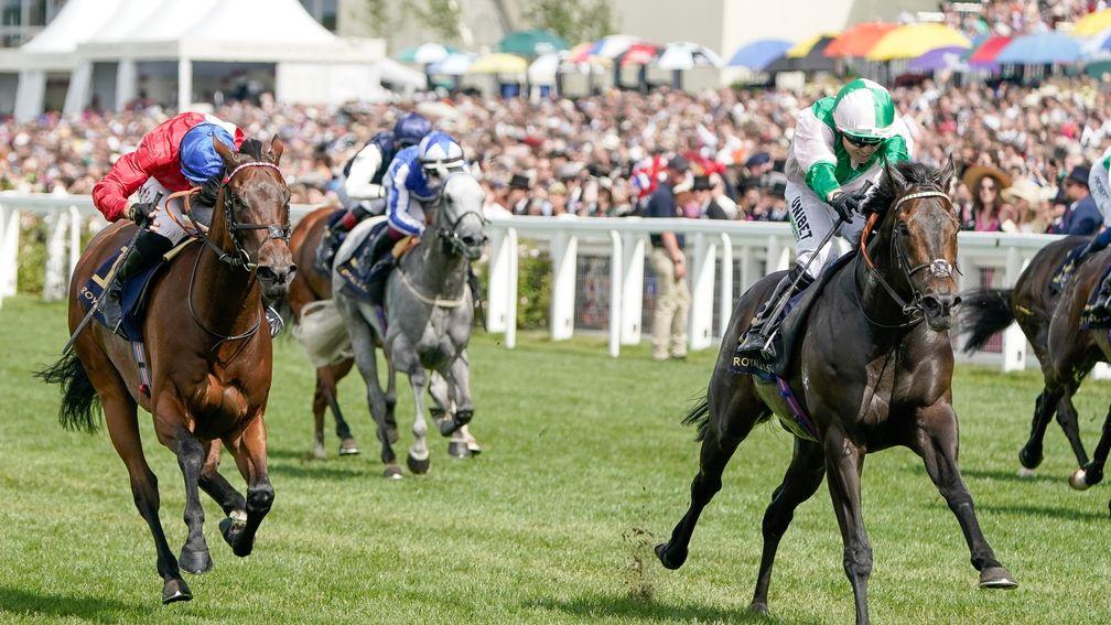 Khaadem (right): big-priced winner of the Jubilee Stakes