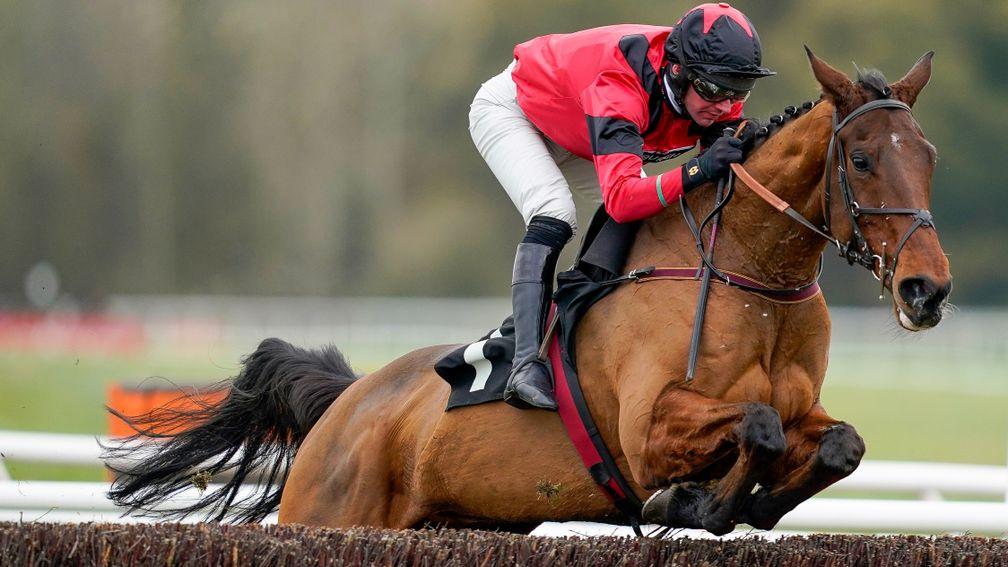 Ahoy Senor: could take in Towton Chase at Wetherby in February