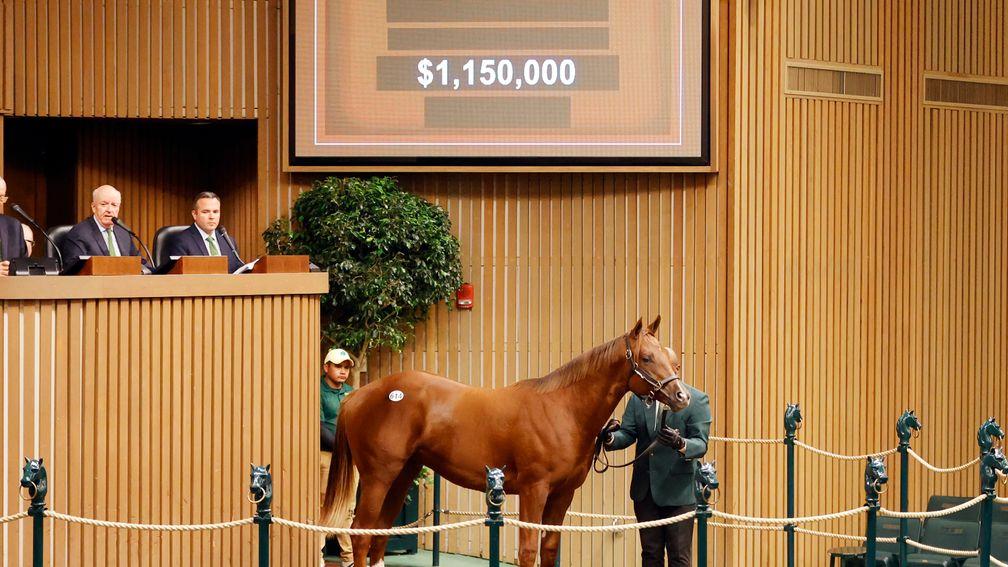 The Gun Runner colt out of Margate Garden realises $1.15 million to Repole Stable and Spendthrift at Keeneland