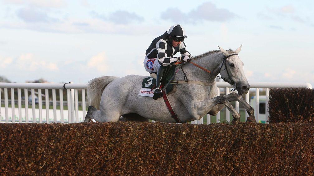 Monet's Garden: was an Aintree favourite and three-time winner of the Old Roan Chase