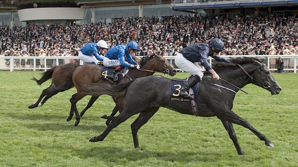 Caravaggio beats Harry Angel and Blue Point in a thrilling Commonwealth Cup. It should be possible to know what the pace breakdown was