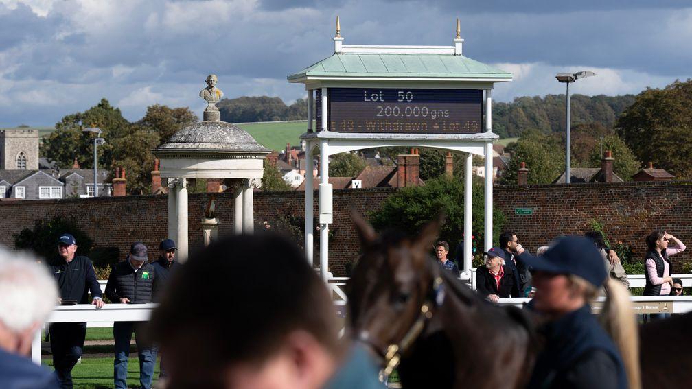 Tattersalls, where Mohammed Saleh Bin Laden has been buying his first horses to race in Britain