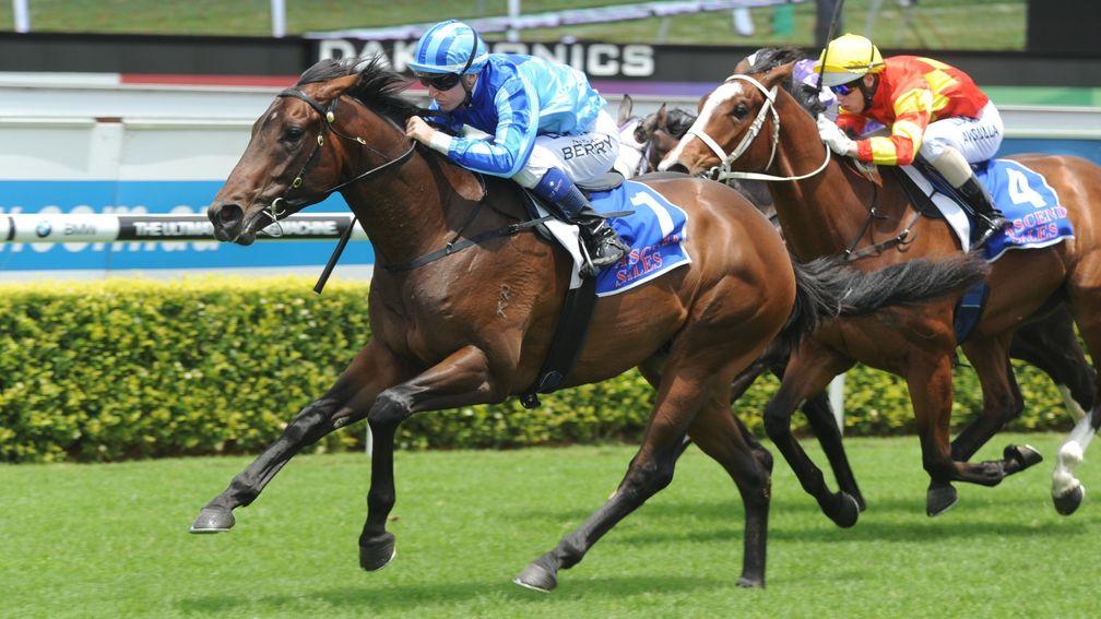 Promising first-season sire Unencumbered (blue) had been diagnosed with chondritis
