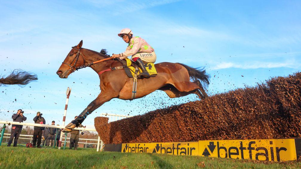 Royale Pagaille: winner of the Betfair Chase