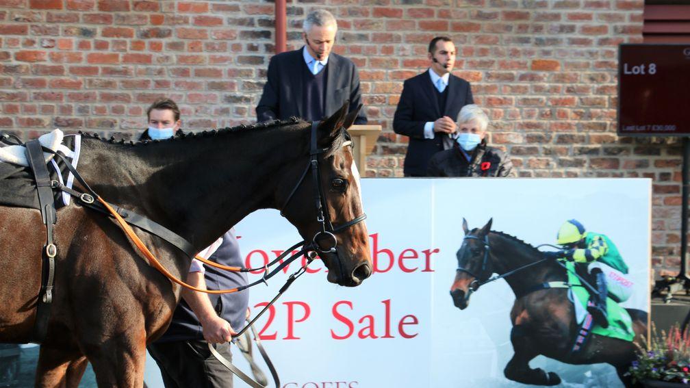 Corach Rambler sold for just £17,000 at the Goffs UK's November Point-to-Point Sale, the same event where Jonbon (pictured) made £570,000 to JP McManus