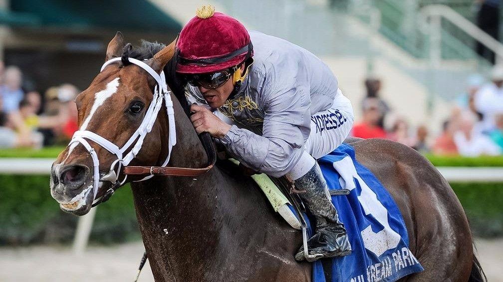 Mshawish: $10,000 pinhook later turned into a Grade 1 winner as a six-year-old