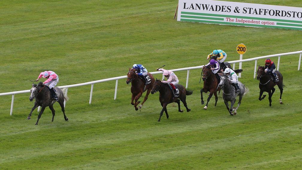 Decrypt: (grey, second right): finishing third in the Irish 2,000 Guineas)