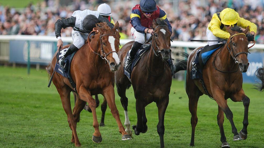 Ramatuelle (left): was nabbed on the line in the 1,000 Guineas
