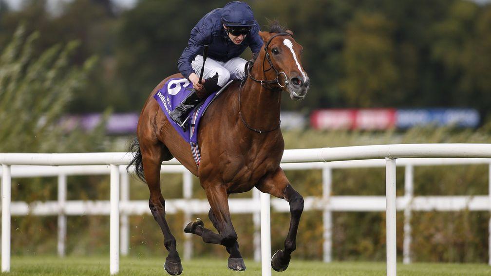Frankel could have a Derby prospect on his hands in Nelson judged on his win at Leopardstown on Saturday