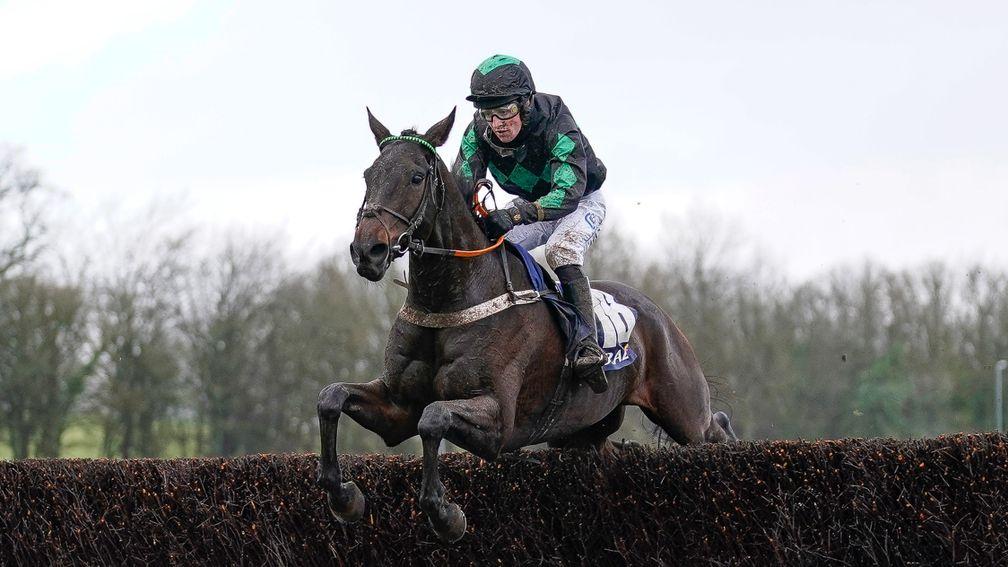 Iwilldoit: won the Welsh National in the colours of Diamond Racing