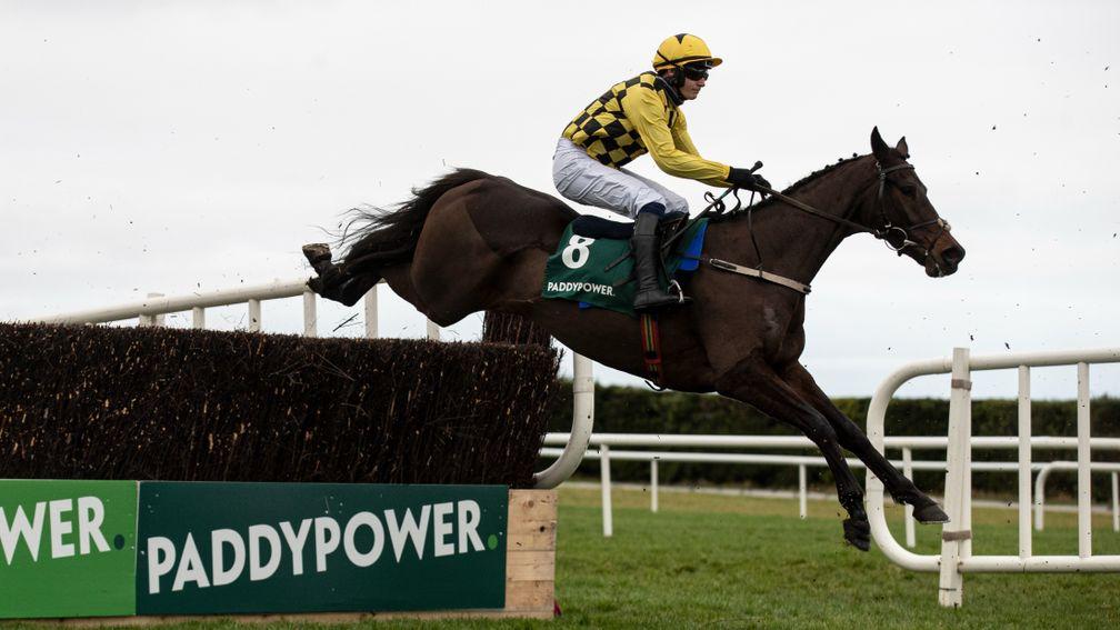 Haut En Couleurs: put forward as a dark horse for the DRF by Patrick Mullins