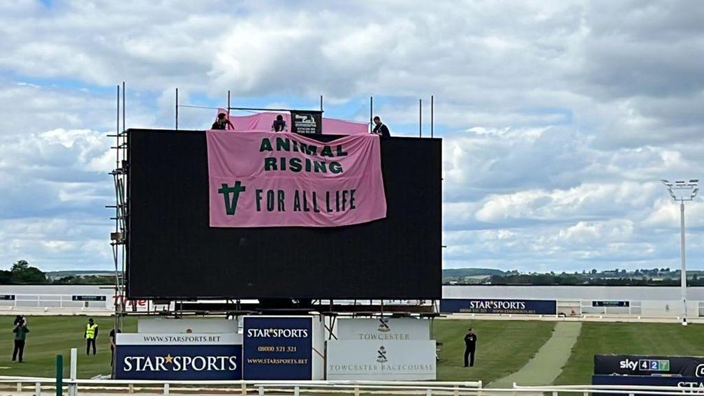 Animal Rising supporters scale the big screen at Towcester