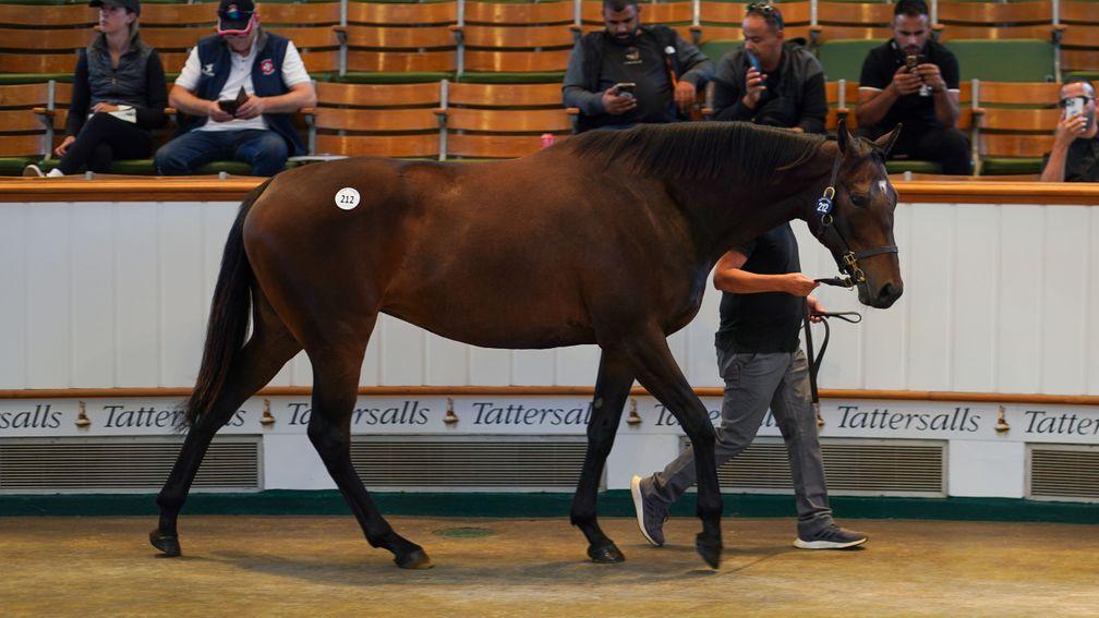 Sweet And Lovely: WH Bloodstock's Galileo mare in foal to Wootton Bassett heads to BBA Ireland for 350,000gns