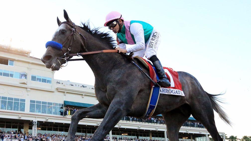 Arrogate: set to go off a short-priced favourite for the Dubai World Cup