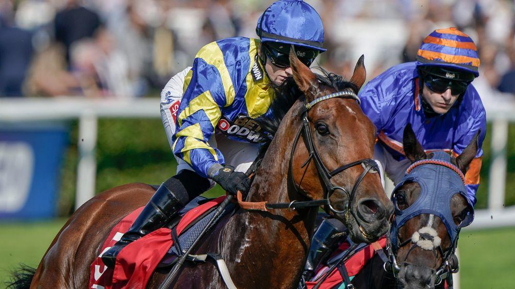 Hollie Doyle and Doncaster Cup hero Trueshan in partnership at Town Moor