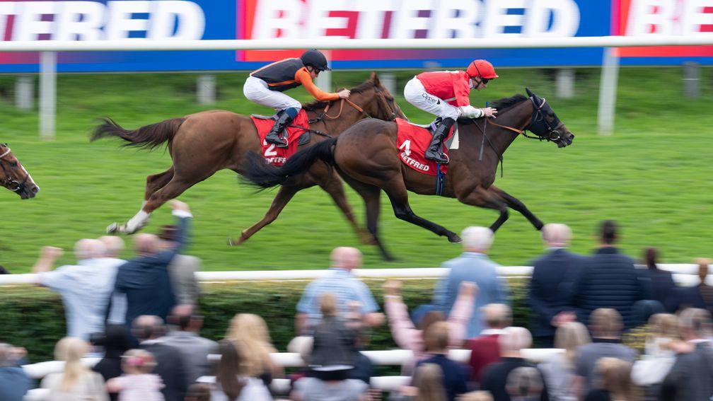 Rogue Lightning beats Raasel in the Scarbrough Stakes at Doncaster 