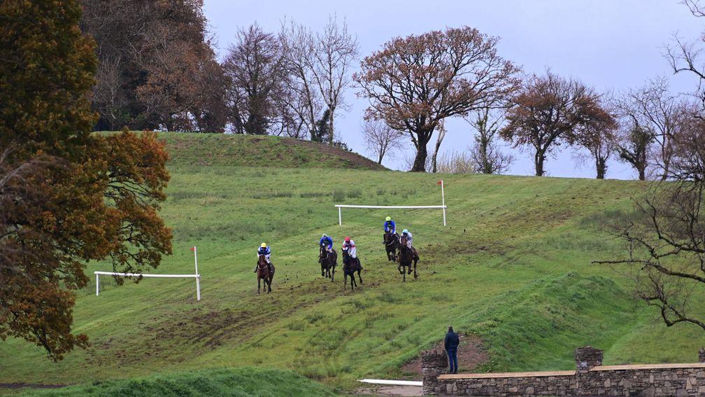 Pointing the way - the Irish point-to-point scene is once again encountering insurance issues