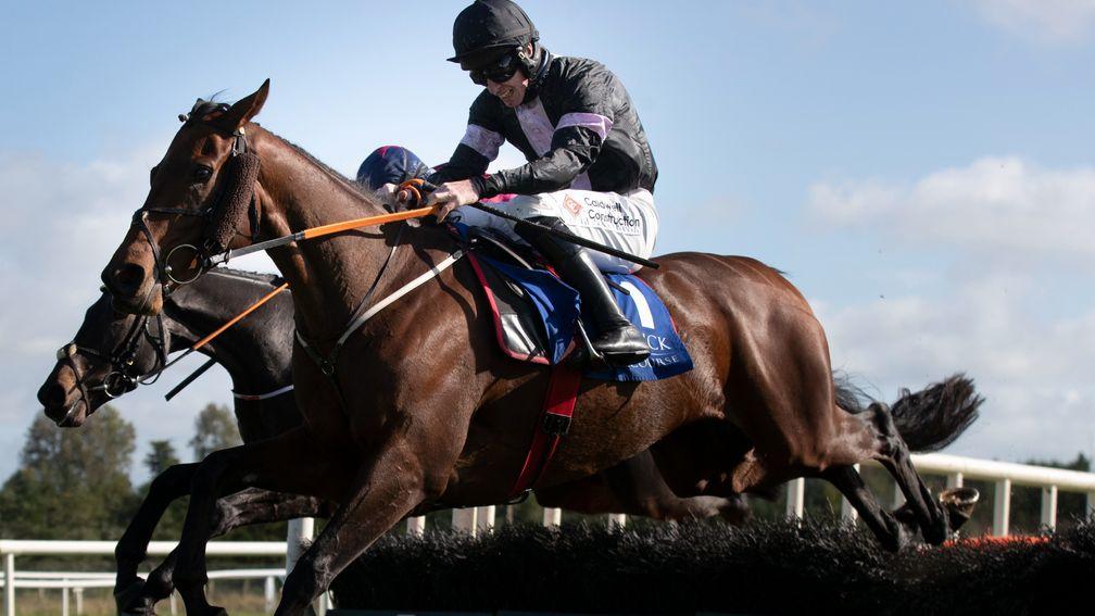 Off Your Rocco: last month's Listed winner could step up to Grade 2 class at Cheltenham