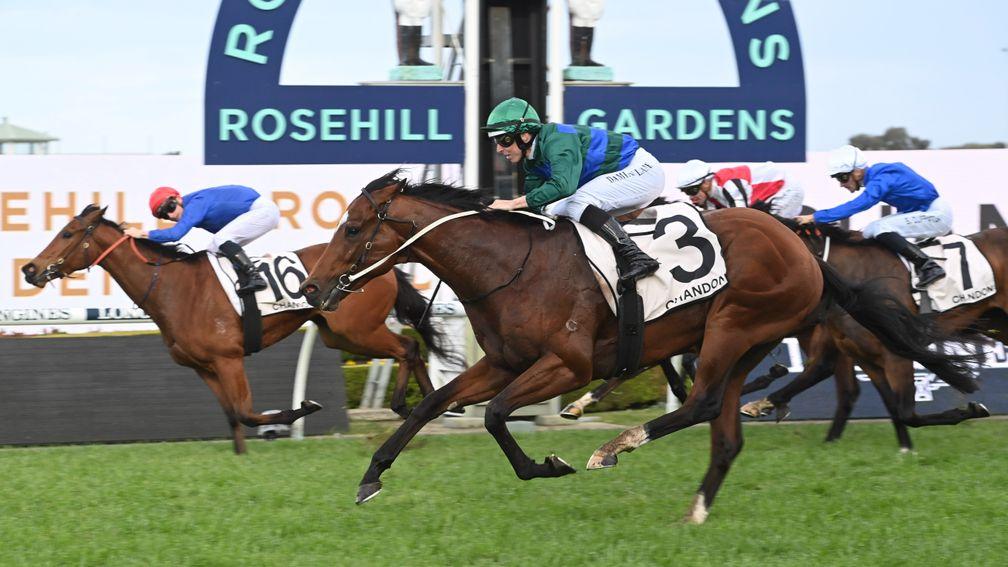 Rosehill: Sydney track set to be replaced by 25,000 homes