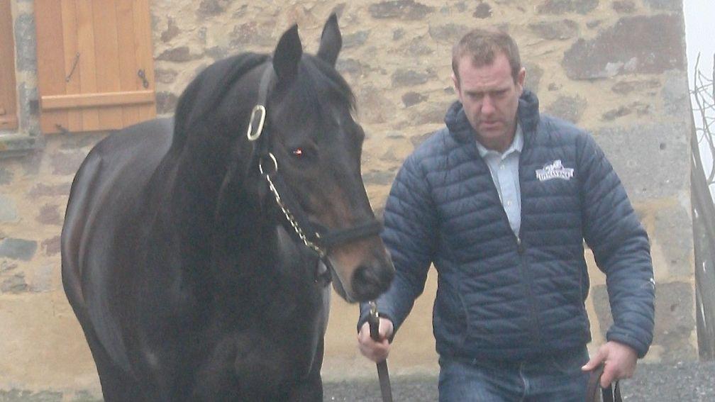 Matthieu Talleux with resident stallion Masterofthehorse