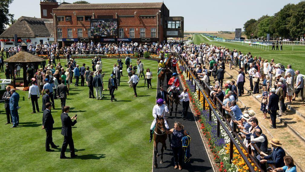 Runners in the parade ring at the picturesque July course at Newmarket