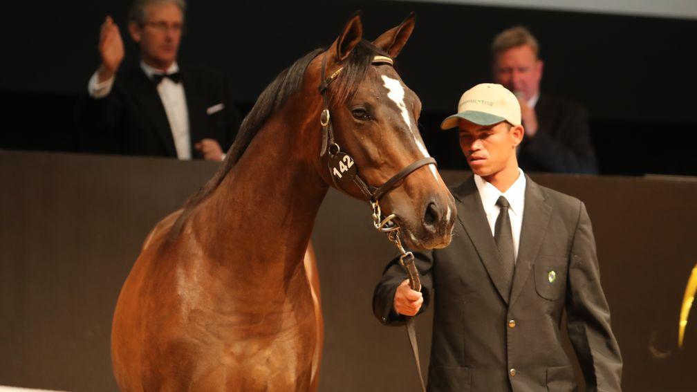 This son of Captain Al was bought by David Redvers for R4.5 million