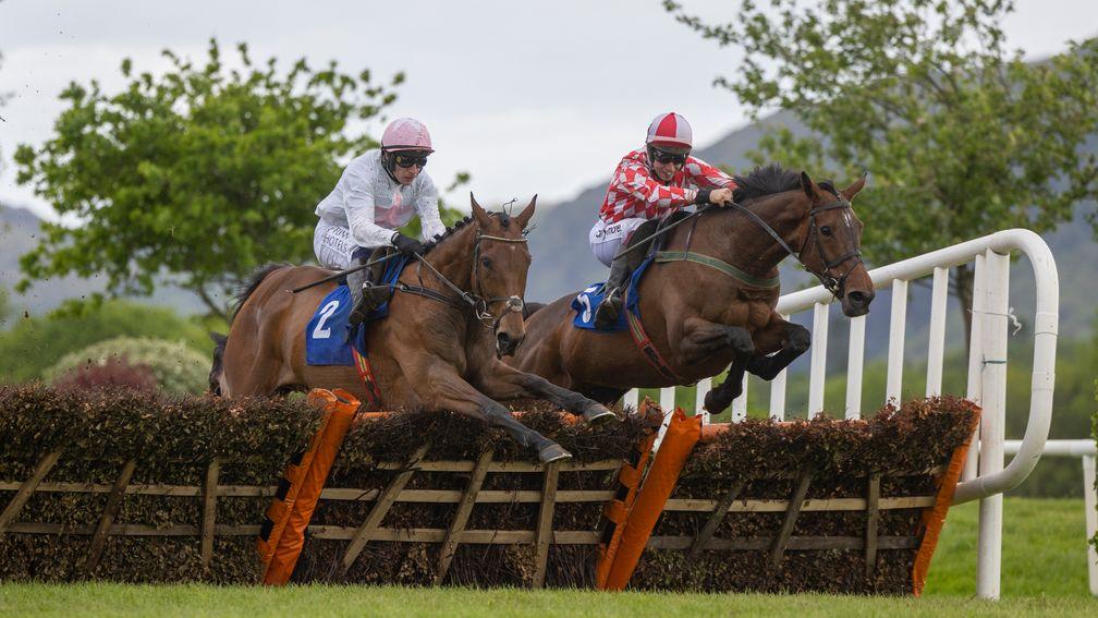 Absurde (left) scored on his sole start over hurdles at Killarney in May