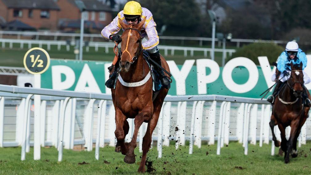 Luccia: can she win the Tolworth Hurdle based on previous trends?