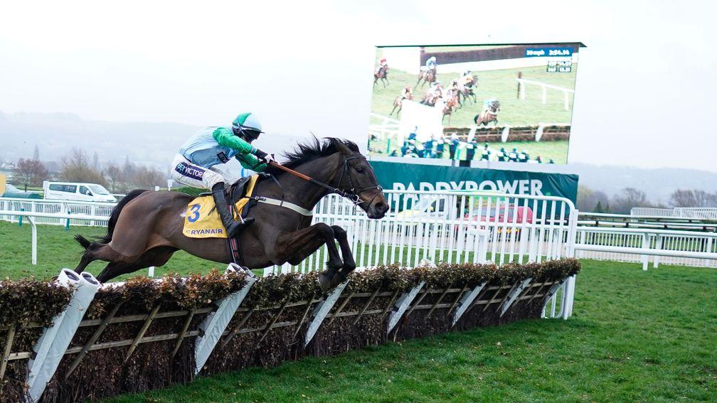You Wear It Well jumps the final flight on route to winning the Mares' Novices' Hurdle
