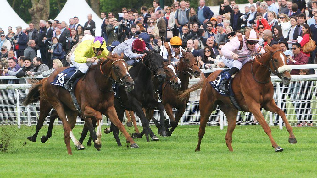 Precieuse (right): French Classic heroine one of a number of top-class horses bred by 