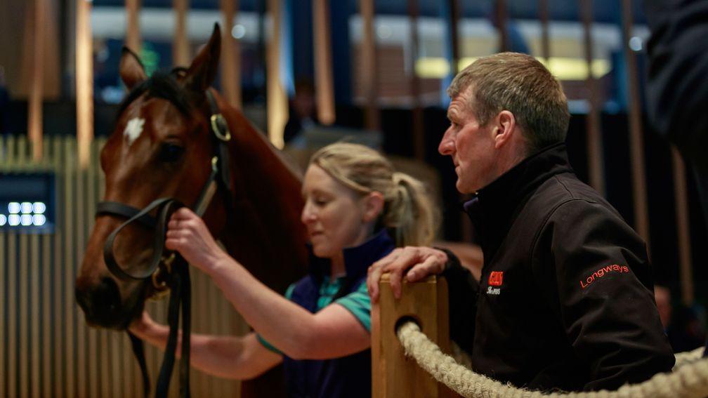 Mick Murphy of Longways looks on as his Kingman filly goes through the ring, eventually making €650,000