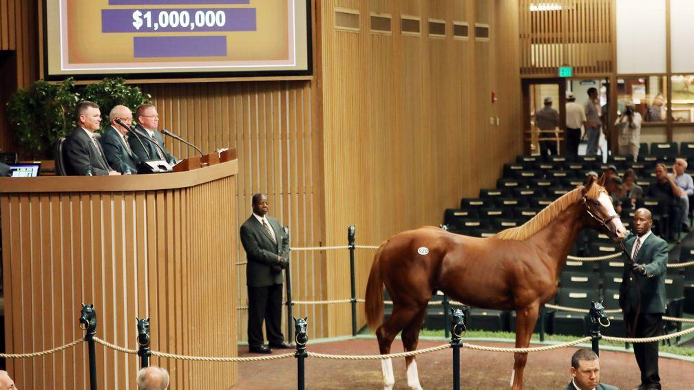 Bidding at Keeneland went into seven figures again at Book 2 for a Union Rags colt