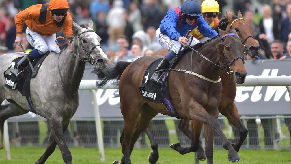 Clever Cookie: Yorkshire Cup winner drawn on outside of the field at Newcastle on Saturday