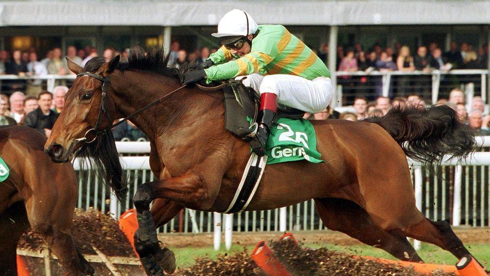 Supreme Novices' Hurdle winner Like-A-Butterfly was the festival's Irish banker in 2002