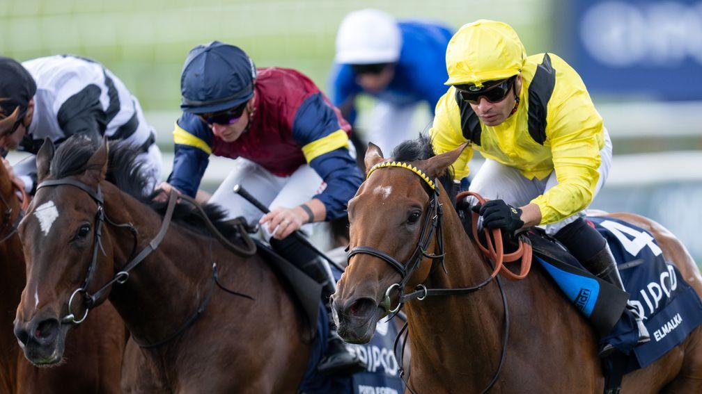Elmalka (right): powered home for Classic victory