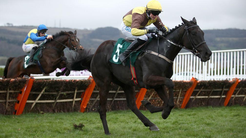 CHELTENHAM, ENGLAND - MARCH 19: Galopin Des Champs ridden by Sean O'Keeffe jumps the last to win The Martin Pipe Conditional Jockeys' Handicap Hurdle during day four of the Cheltenham Festival at Cheltenham Racecourse on March 19, 2021 in Cheltenham, Engl